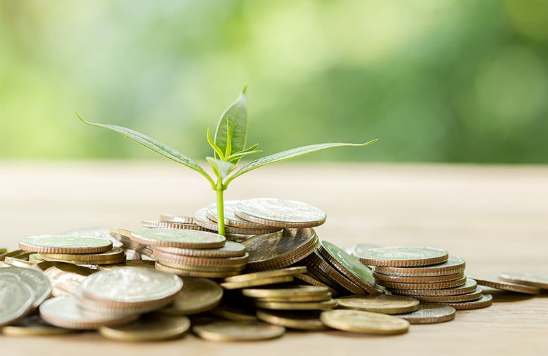 trust_0001_planting-trees-coin-pile-with-sunlight-min